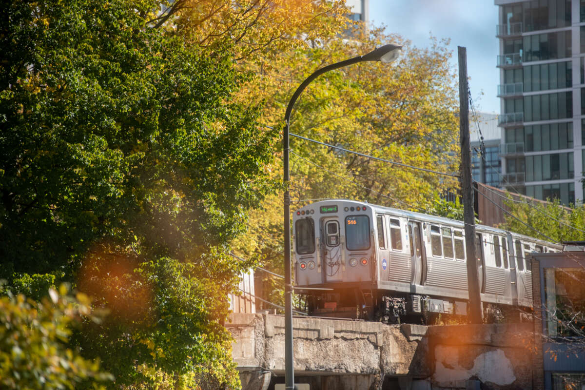Fall CTA
