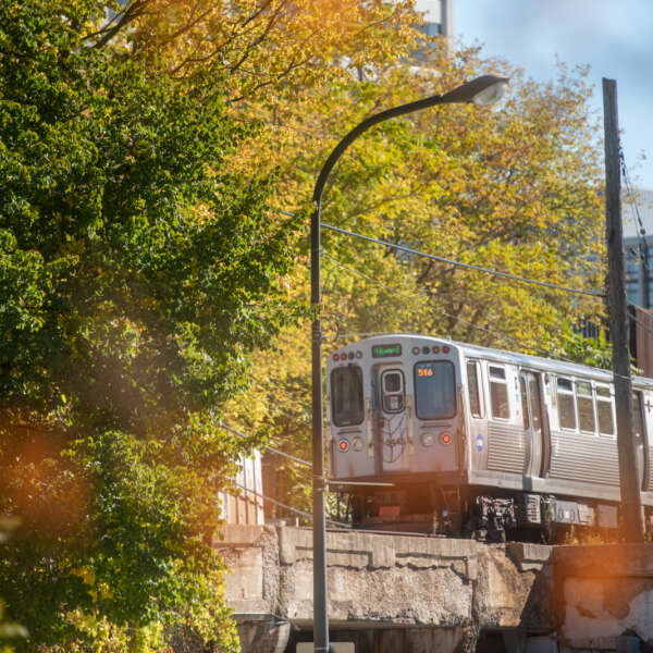 Fall CTA