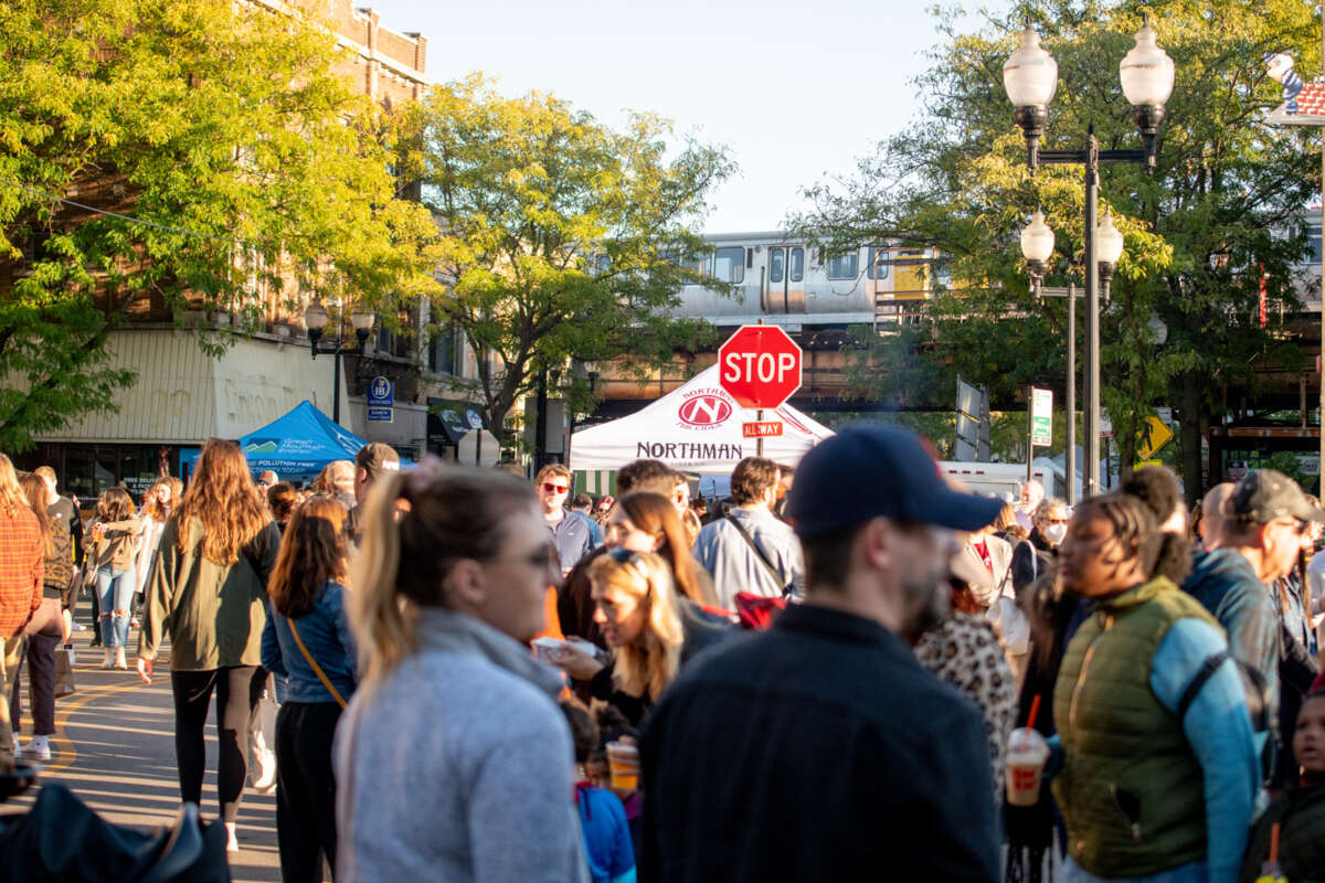 Dozens of people at a street fair with an elevated CTA train in the background.